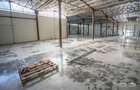 Hala 570 mp Calea Baciului - 4
