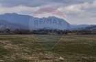 Teren 10,000mp Rasnov / Drumul Panicel