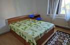 Apartament cu 2 camere decomandat, mobilat în Scriitorilor - 3