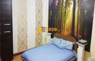 Apartament cu 2 camere decomandat în Drumul Sării - 9