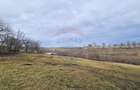 Teren 2,971mp intravilan Stroiesti-Suceava-Bucovina - 11