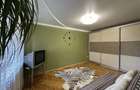 Apartament cu 2 camere în Mehala - 6