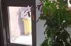 Casă cu 6 camere cu Canalizare în ICIL - 10