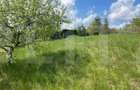 Investitie ! Teren intravilan,494 mp, front 14 m,cart Dambu - 4