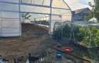 Teren 3200mp de vanzare in suburbie, acces asfaltat - 7