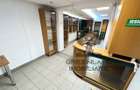 Spatiu comercial 50mp, Nicolina la bulevard - 7