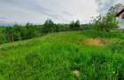 teren extravilan sat pestera jud brasov - 5