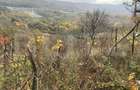 Teren extravilan suparfata 787 mp in zona Bradet - 4