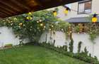 Apartament de inchiriat in regim hotelier - 2