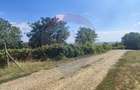 Loc de casa si teren cultivat cu vita de vie 1,28 Ha Sant... - 6
