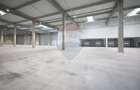 Hala de vanzare, Sc 7014mp, Zona Biharia - 15