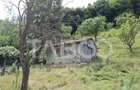 Teren extravilan de 2500 mp, în Rășinari - 4