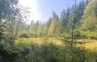 Vatra Dornei - Saru Dornei, Teren S = 6450 mp; La 13 km de Vatra Dornei si la 6 km de Calimani - 8
