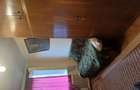 Apartament cu 3 camere în Central - 5