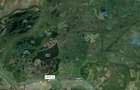 Vand Teren extravilan 17.000 mp de vanzare - iesire la Delta Dunarii Sat Partizani, jud.Tulcea - 6