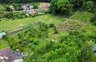 DE VANZARE Doua parcele de teren intravilan in Corunca-Valea Iubirii - 9
