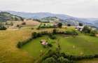 Teren Construcții intravilan de 10335 mp, în Exterior Est - 9