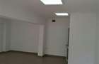 Spatiu comercial de vanzare, Siderurgistilor - 4