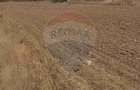 Teren intravilan 3,261mp Balotesti / Strada Rozelor - 2