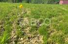 Teren 1059 mp in Raul Sadului Natura liniste si investitie - 5