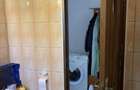 Apartament cu 2 camere decomandat în Brazda lui Novac - 9