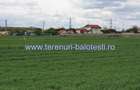 Teren de 800 mp, în Balotești - 12