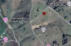 Teren de vanzare in mediul rural, acces asfaltat - 3