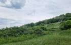 Teren extravilan de vanzare Vlaha 14.500 mp, zona superba, ideal pentr - 1