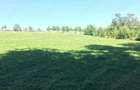Teren de 5400 mp, în Oglinzi - 5