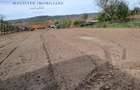 Casa 5 Camere, Teren 1600mp Zorlentu Mare - 1