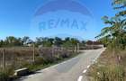 Teren 2,500mp Malu Mare / Strada Bisericii - 6