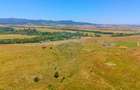 Teren Construcții intravilan de 1690 mp, în Dumbrăvița - 6
