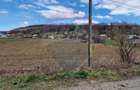 Teren Construcții de 7000 mp, în Sănduleni - 4