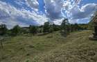 Vand teren intravilan - 4
