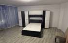 Dau apartament in chirie in zona cantemir - 1