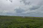 Teren 2500 mp zona Boreal