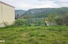Vila in Dubova, langa Dunare, Teren 1361mp - 14