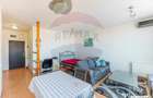 Apartament cu o camera la Ared Kaufland - 7