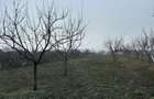 Teren de 1439 mp, în Măderat - 1