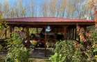 Casa 240 mp utili P+M, 9000 mp teren, Girov, Jud. Neamt - COMISION 0 la cumparat
