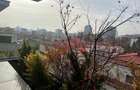 Premium penthouse for rent- Primaverii-4rooms - 8