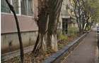Apartament 2 camere, cota 1/2, Bucuresti, ID: R2942554 - 7