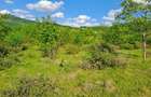 Negresti Oas, Satu Mare Teren 34000 mp - 4