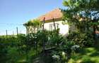 Casa cu teren de vanzare - 2
