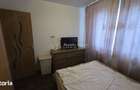 Apartament cu 2 camere în Șega - 7