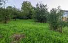 Teren 1.342 mp, Str. Pietrisului, Poiana Campina (Prahova) - 7