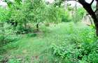 Apartament DE VANZARE Strada Liliacului, Tarnaveni - 13