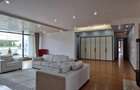 Dorobanti Penthouse supr. 235mp terasa 130mp - 4