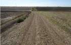 Teren extravilna Cota parte 1/16, CObadin, ID: R2782865 - 2