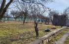 Teren Intravilan 43Ari zona Ortelec-Zalau intre case 4800eur/ar - 13